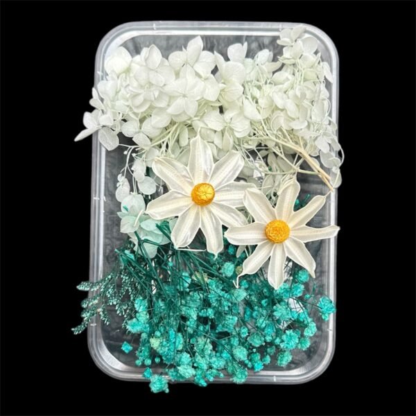 DRY FLOWER BOX