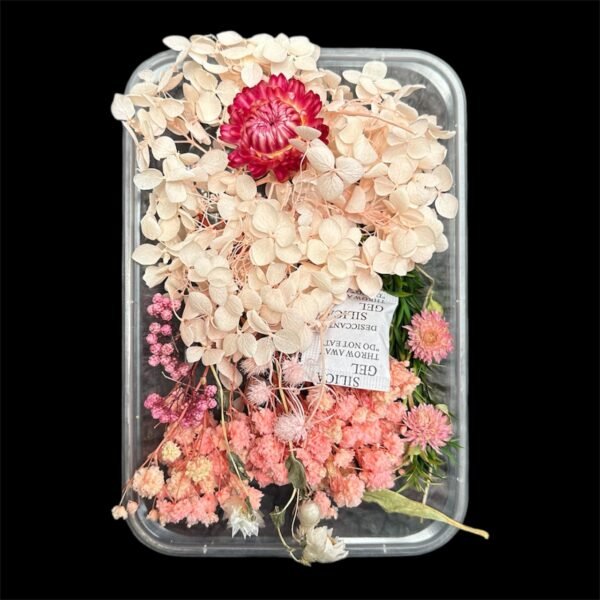 DRY FLOWER BOX