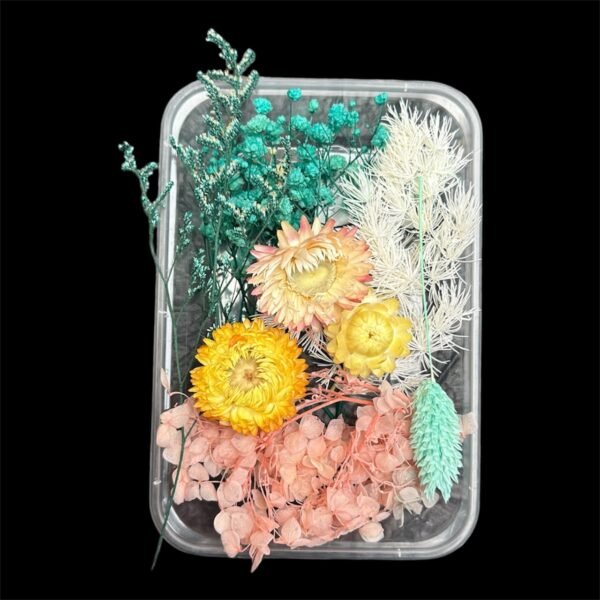 DRY FLOWER BOX