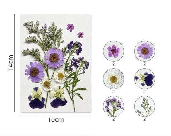 12 IN 1 PRESSED FLOWER SHEET