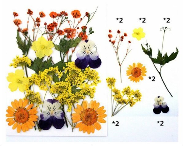 12 IN 1 PRESSED FLOWER SHEET