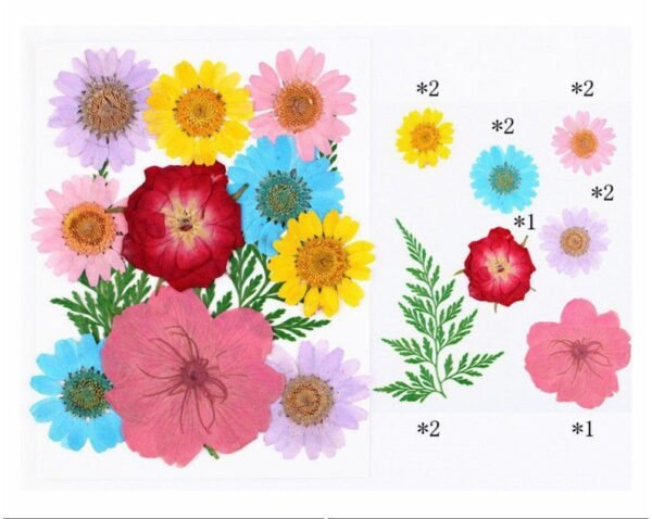 12 IN 1 PRESSED FLOWER SHEET
