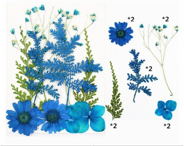 10 IN 1 PRESSED FLOWER SHEET