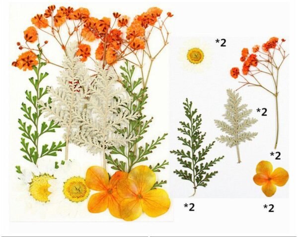 10 IN 1 PRESSED FLOWER SHEET