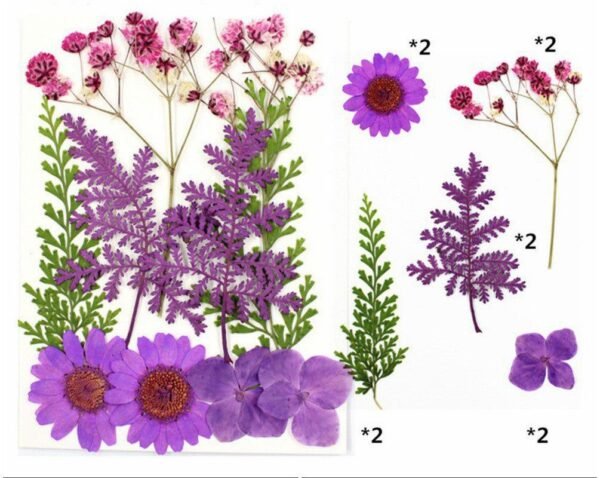 10 IN 1 PRESSED FLOWER SHEET