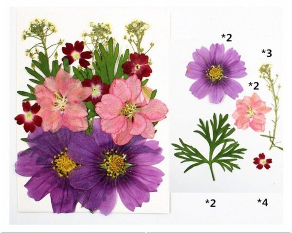 15 IN 1 PRESSED FLOWER SHEET