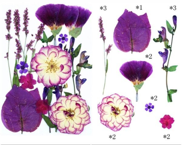 15 IN 1 PRESSED FLOWER SHEET