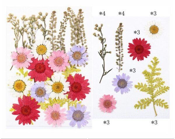 23 IN 1 PRESSED FLOWER SHEET