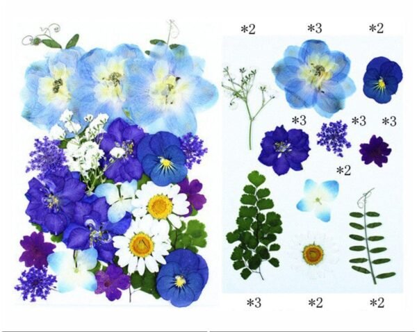25 IN 1 PRESSED FLOWER SHEET