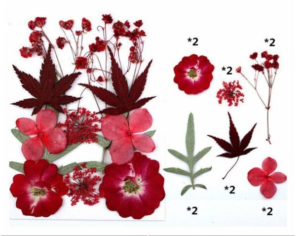 12 IN 1 PRESSED FLOWER SHEET