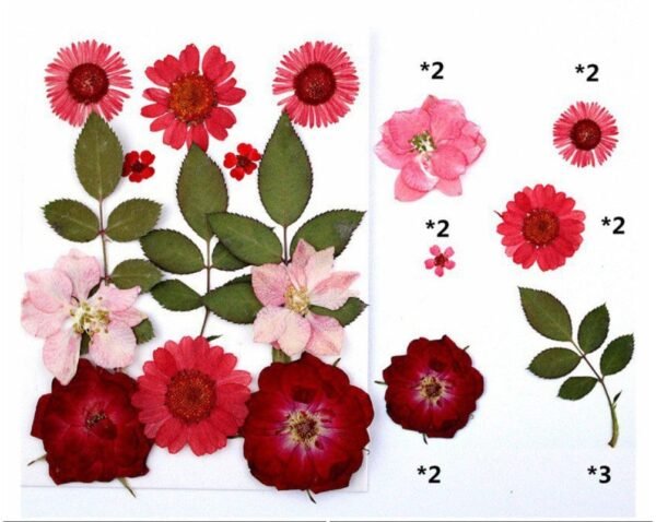 13 IN 1 PRESSED FLOWER SHEET