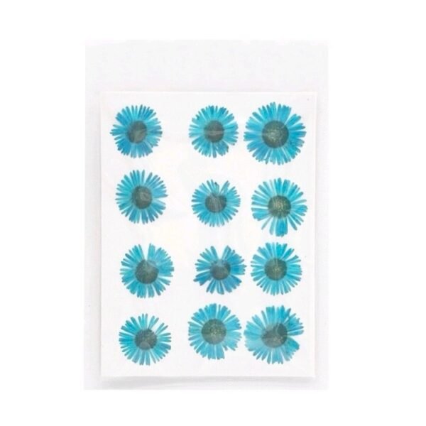 12 IN 1 LIGHT BLUE PRESSED FLOWER SHEET