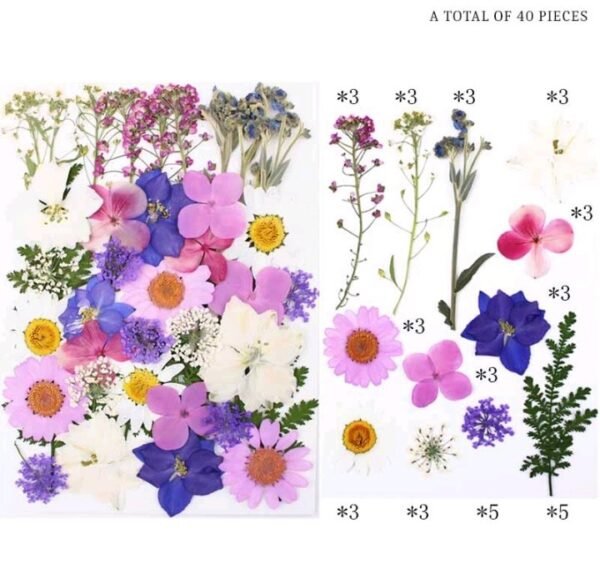 40 IN 1 PRESSED FLOWER SHEET
