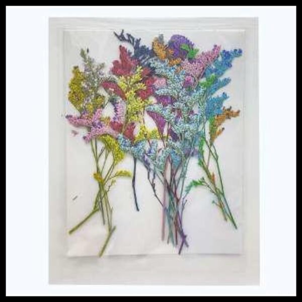 12 IN 1 PRESSED FLOWER SHEET