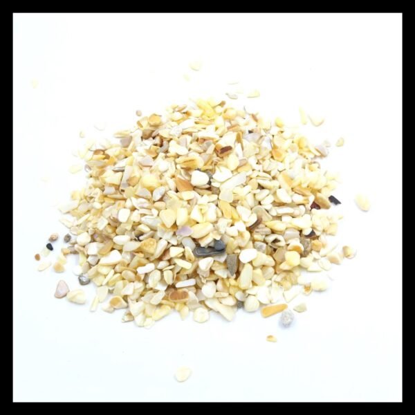 IVORY SHELL STONE GRANULES (500GMS)