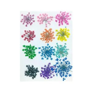 ANNA LACE MULTICOLOURED