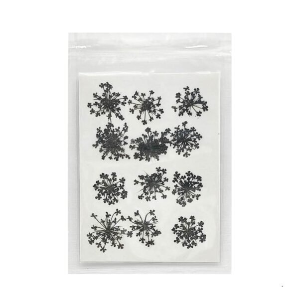 BLACK ANNA LACE SHEET