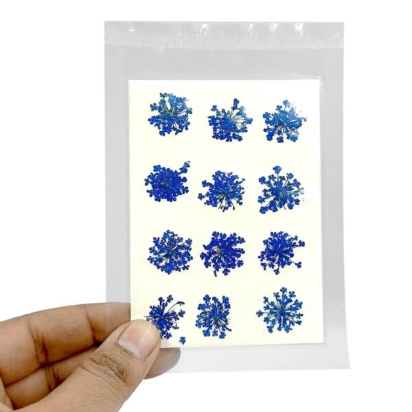 DARK BLUE ANNA LACE SHEET