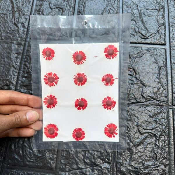 12 IN 1 DARK RED PRESSED FLOWER SHEET