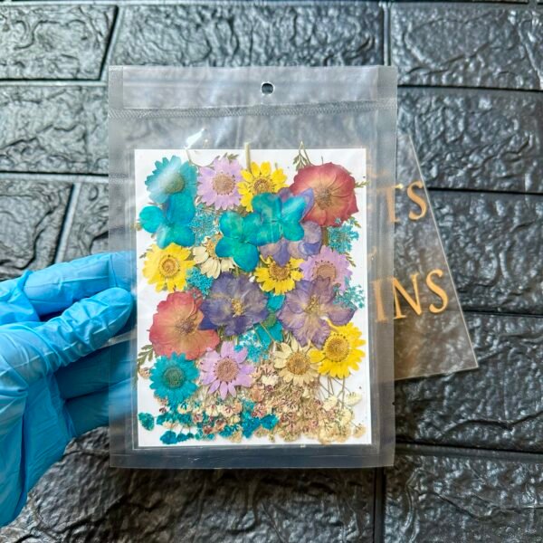 40 IN 1 PRESSED FLOWER SHEET