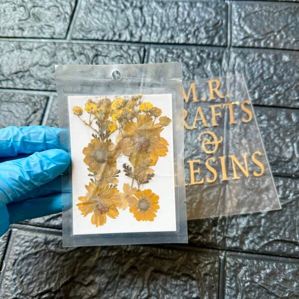 12 IN 1 YELLOW MIX PRESSED FLOWER SHEET