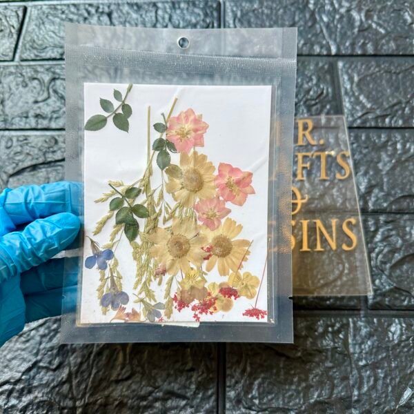 12 IN 1 PRESSED FLOWER SHEET