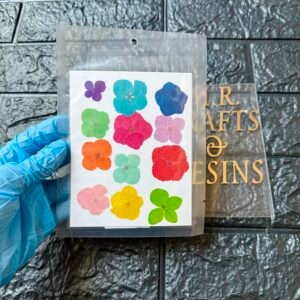 12 IN 1 MULTI PRESSED  FLOWER SHEET