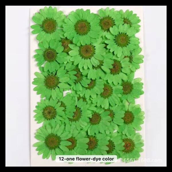 12 IN 1 GREEN DAISY FLOWER SHEET