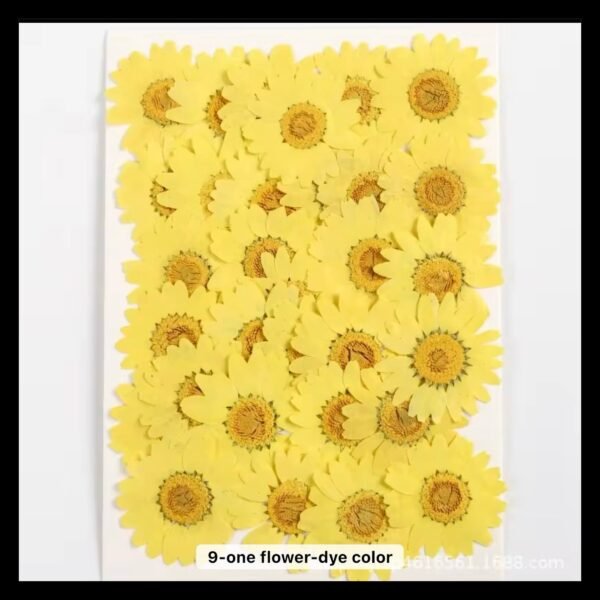12 IN 1 YELLOW DAISY FLOWER SHEET