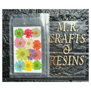 12 IN 1 MIX DAISY FLOWER SHEET