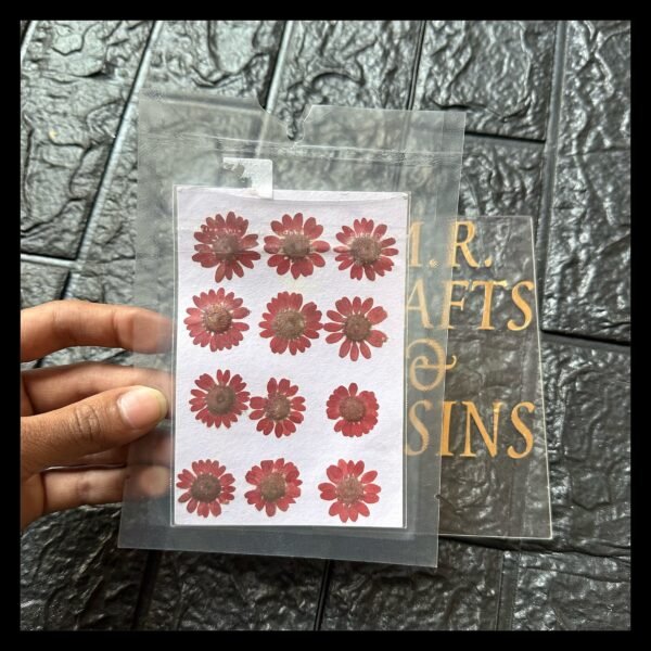 12 IN 1 RED DAISY FLOWER SHEET