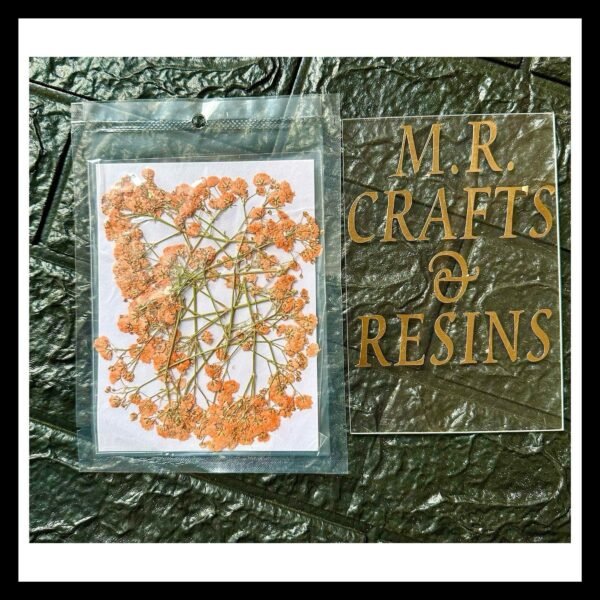 ORANGE GYPSY FLOWER SHEET