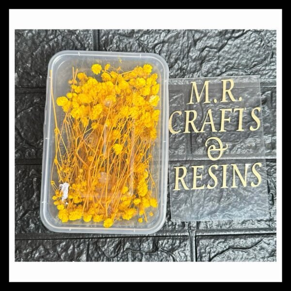 YELLOW DRIED GYPSY BOX