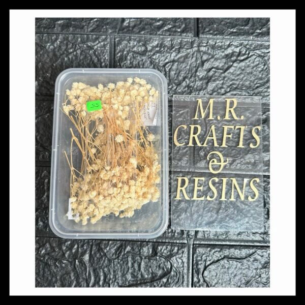 WHITE DRIED GYPSY BOX