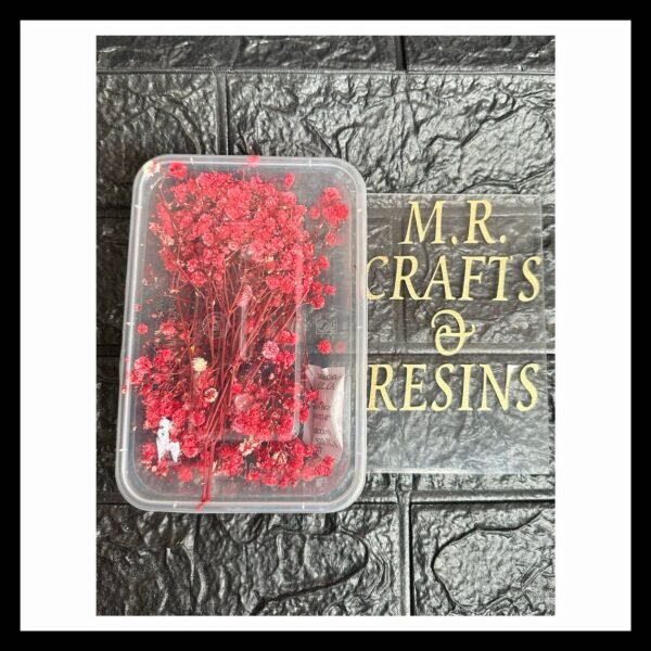 RED DRIED GYPSY BOX