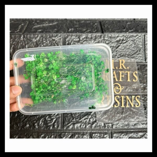 DARK GREEN DRIED GYPSY BOX