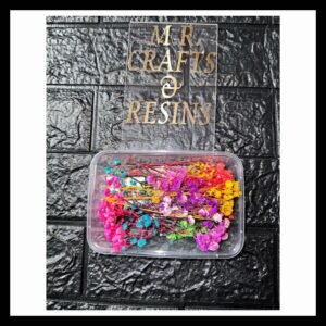MULTI DRIED GYPSY BOX