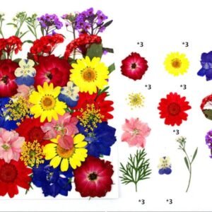 33 IN 1 PRESSED FLOWER SHEET