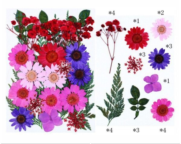 25 IN 1 PRESSED FLOWER SHEET