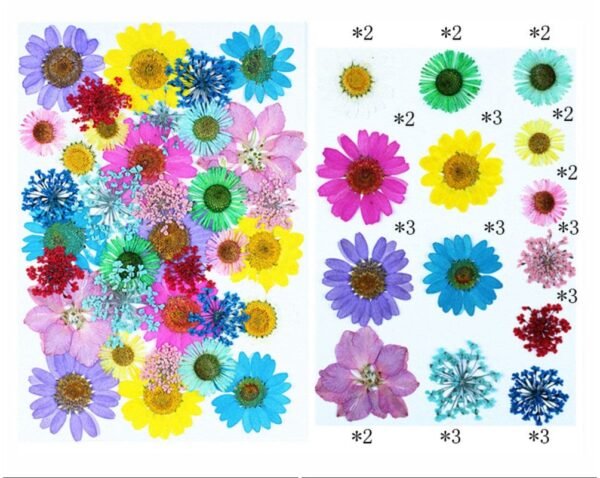 35 IN 1 PRESSED FLOWER SHEET
