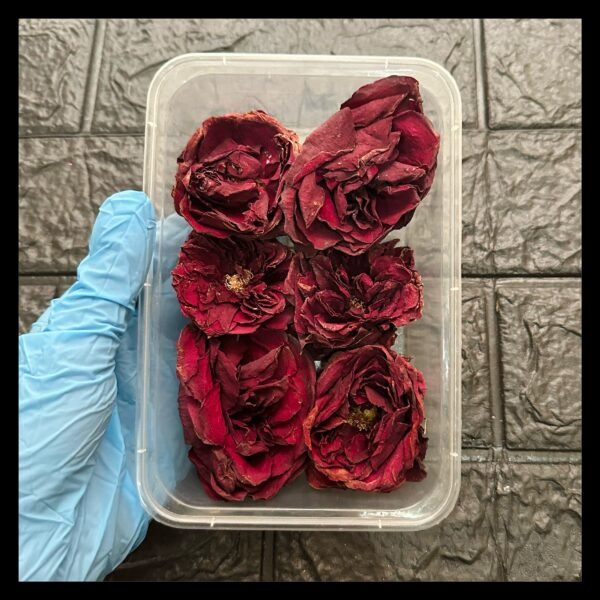 DRIED RED BIG ROSES 6PC PACK