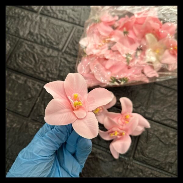LIGHT PINK LILY FLOWER