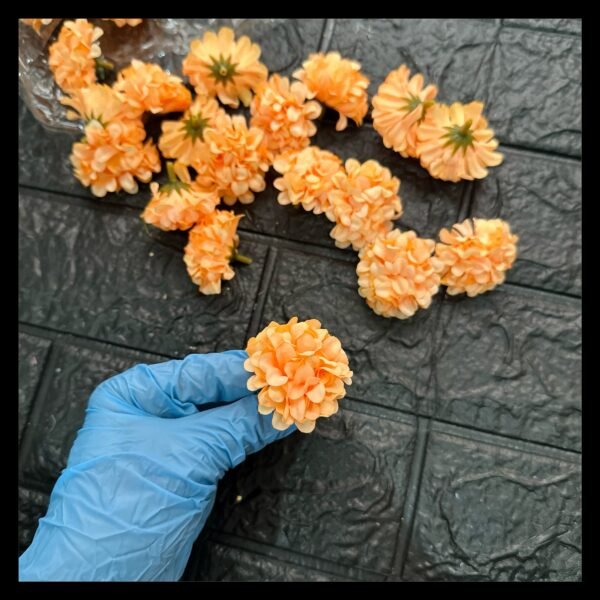 ORANGE CARNATIONS FLOWERS