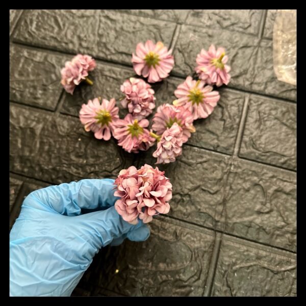 PINK CARNATIONS FLOWERS