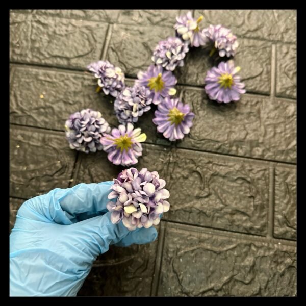 PURPLE CARNATIONS FLOWERS