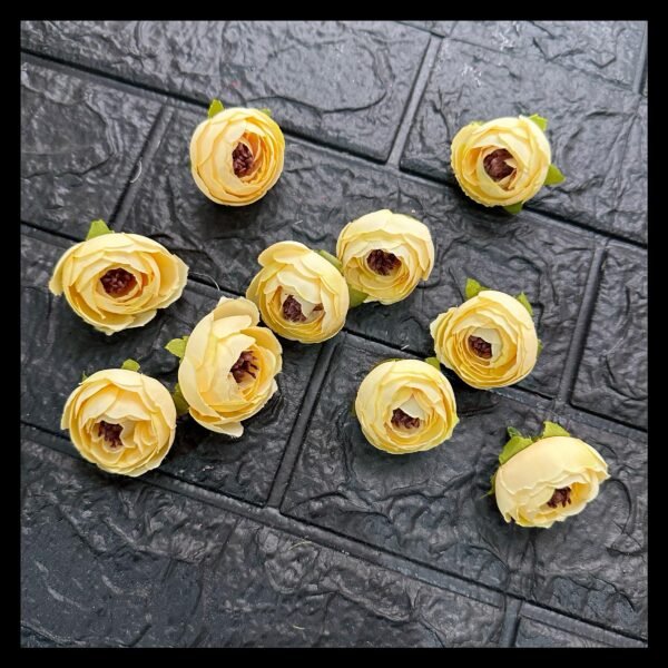 YELLOW PEONY FLOWERS