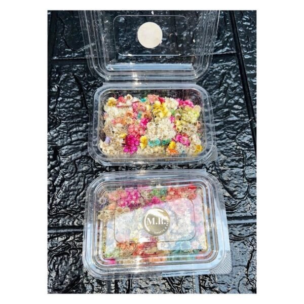 HIMALAYAN DAISY BOX (400-500 PC APPROX)